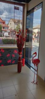 Vila Paun - Costinesti - 5