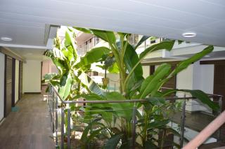 Studio ZenAzur - Antibes - 6