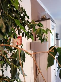 Apartman Luna - Šibenik - 3