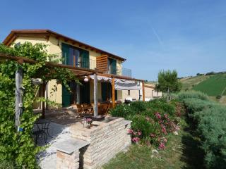 Il Frutteto Bed and Breakfast - Ripattone - 8