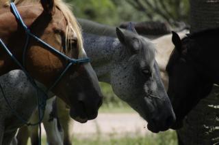 Complejo Playa Grande - 1