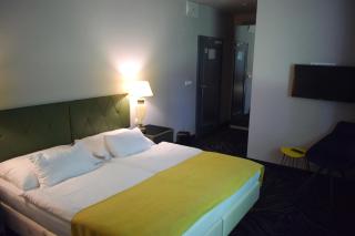 Parkhotel Carlsbad Inn - Karlovy Vary - 3