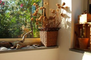 B&B Buenavista - Marina di Camerota - 6