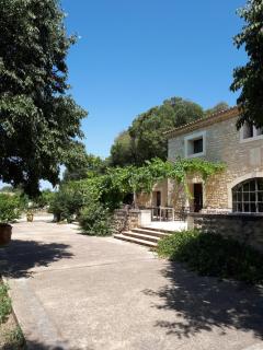 MAS SAINT-JOSEPH - Fontvieille - 5
