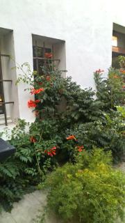 Grand Argence - Fourques - 8