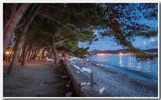 Luda kuća - Bar - 2