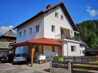 Apartma EVA&MATIC - Kranjska Gora - 7
