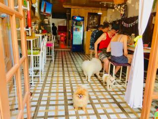Pailin Guest House - Bangkok - 2