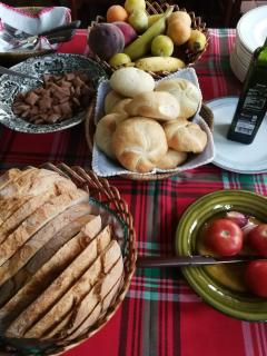 Pensio Can Fabrellas - Sant Antoni de Calonge - 8