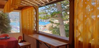 Hotel Giardino delle Palme - Campese - 3