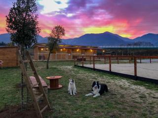 La Tenuta del Campo di Sopra - Patrica - 7