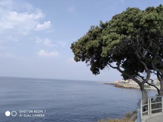 Studio Sausset les pins - Sausset-les-Pins - 7