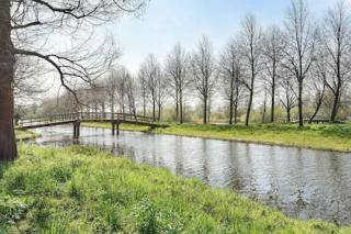 B&B Rocha - Amsterdam - 5