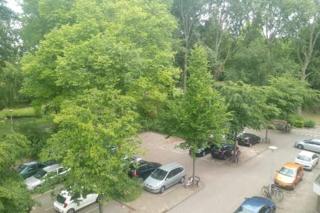 B&B Rocha - Amsterdam - 4