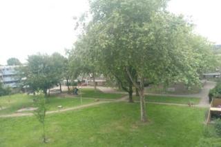 B&B Rocha - Amsterdam - 1