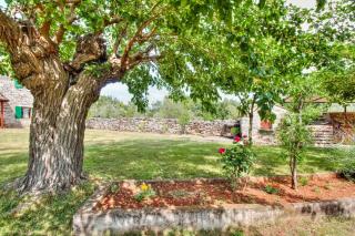 Villa Alba - Umag - 2