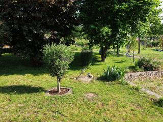 DTS Appartements - Putbus - 3