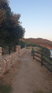 Camp Maslina - 2