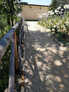 B&B Il Gelso Country House - 2