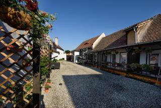 Pensiunea Alina "Adults Only" - Hermannstadt - 3