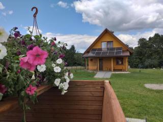 Domki całoroczne Bieszczady Panasiewiczówka - Odrzechowa - 0