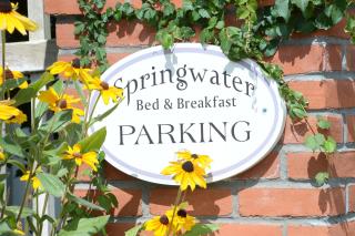The Springwater Bed and Breakfast - Saratoga Springs - 5