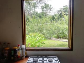 Green Corner - Cahuita - 5