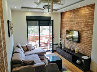 Apartment Mihajlović - 3