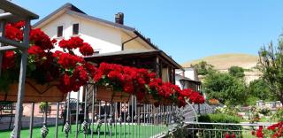 Hotel Dafne - Pescasseroli - 4