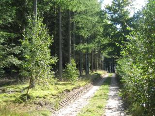 Dejligt feriehus med Panoramaudsigt - 6