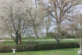 Nahe am See - Überlingen - 9