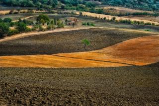 Il Grottino di Saturnia - Saturnia - 3