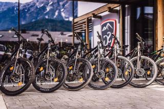 Stockinggut by AvenidA - Leogang - 4