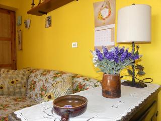 Casa La Forsizia - Valdieri - 1