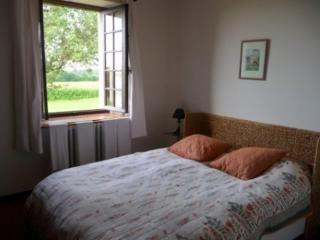 Gite Des Etangs - Paulnay - 5