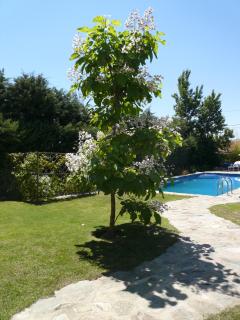 The Yellow House - Mataelpino - 5