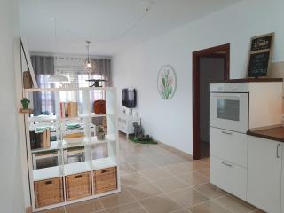 Casa Cactus - Pájara - 4