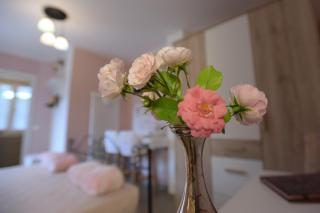 B&B Magiré - Tesero - 5