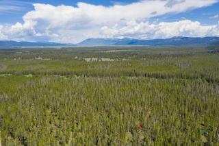 Little Fox by KABINO Fire Pit Large Yard Loft with Low Ceiling Grill WiFi - 2