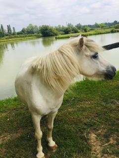 Domaine du vieux chêne - 4