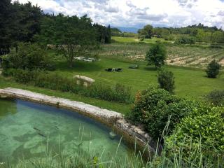 La Magnanerie - Bonnieux - 3