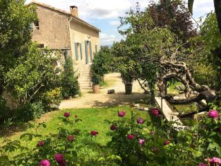 La Magnanerie - Bonnieux - 0
