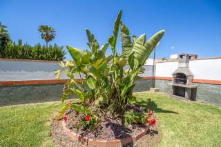 Chalet Miriam I - Conil de la Frontera - 7