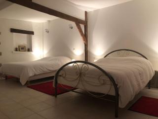 Maison en bord de seine - Boissise-le-Roi - 8