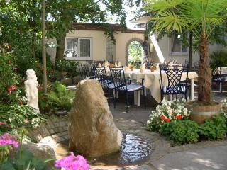 Hotel Anika - Neuenburg am Rhein - 2
