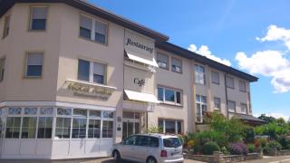 Hotel Anika - Neuenburg am Rhein - 6