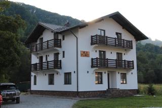 Pensiunea Vila Flavis - Vişeu de Sus - 0