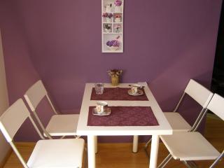Apartament Dobra nocka - Krynica Zdrój - 6