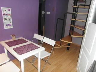 Apartament Dobra nocka - Krynica Zdrój - 2