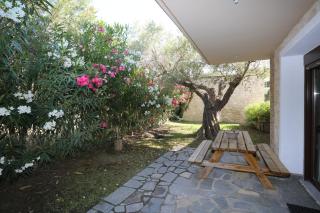 Villa Argo 3 - Beachfront, Big gardens, Location! - Pefkochori - 2